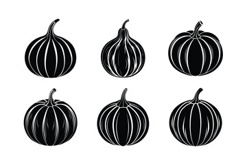 Hubbard Squash (Cucurbita maxima) design, labeled silhouette vector illustration