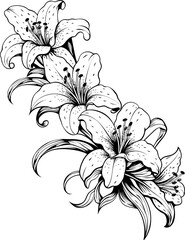 Lily flower corner border drawing
