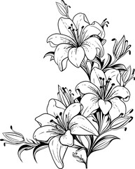 Lily flower corner border drawing