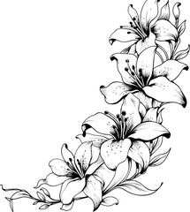 Lily flower corner border drawing