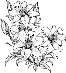Lily flower corner border drawing