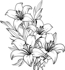 Lily flower corner border drawing
