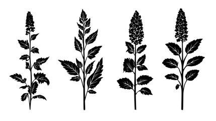 Amaranth tiled design, Amaranth repeating background illustration