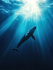 Fototapeta premium Majestic whale swimming gracefully in deep blue ocean illuminated by sun rays. Generative AI