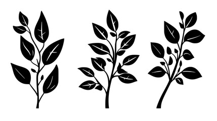 Collection of Cayenne Pepper, vectorized food design