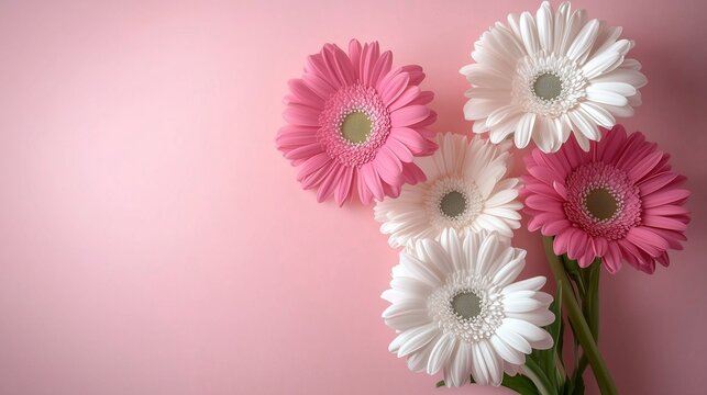 This sentence incorporates several keywords from your list while keeping it concise and descriptive