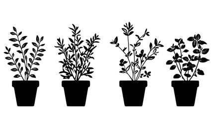 Obraz premium Collection of More Herbs, vectorized food design