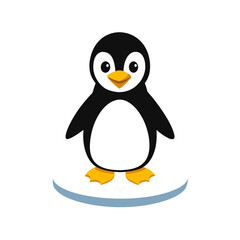 penguin on a white background