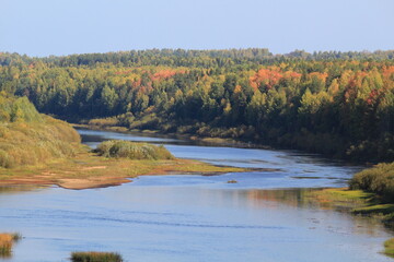 river in autumn forest