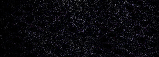 A great harmony of dots