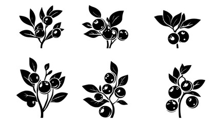 Collection of Cranberry vector icons, Cranberry vector art pattern