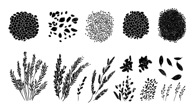 Collection of Cumin icons, Cumin illustration art, seamless pattern