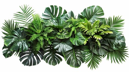 green tropical leaves