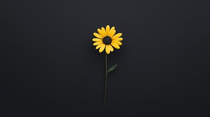 Single yellow flower on black background.