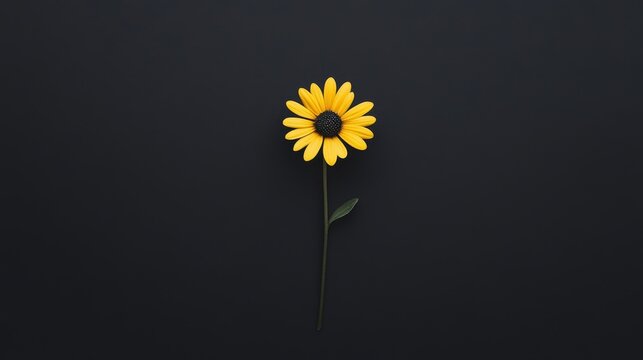 Single yellow flower on black background.
