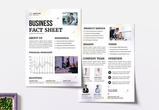 Business Company Fact Sheet Template