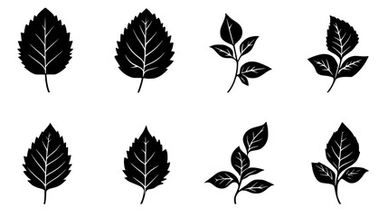 Fototapeta premium Collection of Mint vector icons, Mint vector art pattern