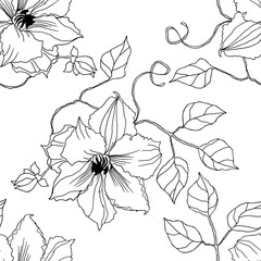 Black graphic flowers on white background.  Floral seamless pattern for fabric and coloring books. 