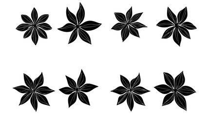Fototapeta premium Collection of Star anise icons, Star anise illustration art, seamless pattern