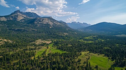 Naklejka premium Majestic mountain landscape with verdant forests and vast open sky