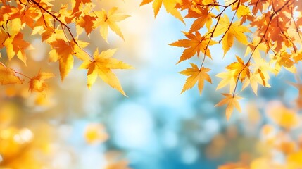 Maple leaves shine golden against blurred blue sky, capturing autumn's essence with backlit foliage and dreamy bokeh effect in natural sunlight environment.