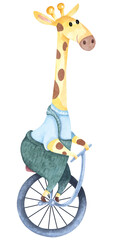 Cute giraffe riding unicycle.Cartoon circus characters animal.Hand drawn with watercolor.