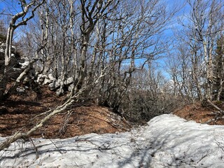 The last remnants of spring snow after a long and harsh mountain winter - Northern Velebit National...