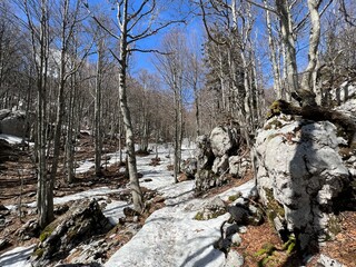 The last remnants of spring snow after a long and harsh mountain winter - Northern Velebit National...