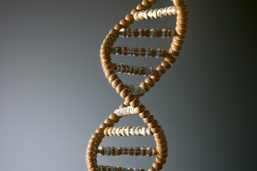 Exploring DNA and Nutrition The Science of Life Through Geometric Patterns in a Laboratory Environment