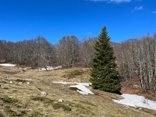 The last remnants of spring snow after a long and harsh mountain winter - Northern Velebit National...