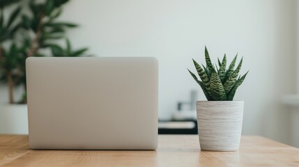 Fototapeta premium Closed laptop and potted plant sitting on a wooden desk in a modern office