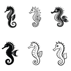 Obraz premium Set of Seahorse vector illustration, Seahorse Fish Outline Clipart