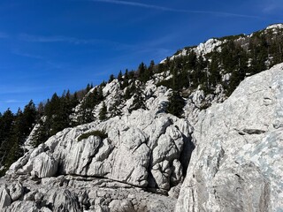 Limestone rocks and karst mountain landscape - Northern Velebit National Park, Croatia (Vapnenačke stijene i krški planinski krajolik - Nacionalni park Sjeverni Velebit, Hrvatska)
