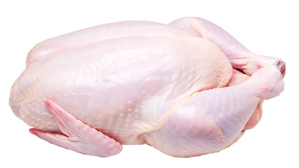top view of raw fresh chicken isolated on white background PNG.AI GENERATED