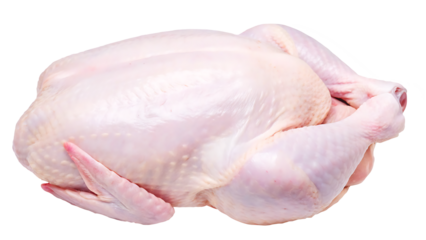 top view of raw fresh chicken isolated on white background PNG.AI GENERATED