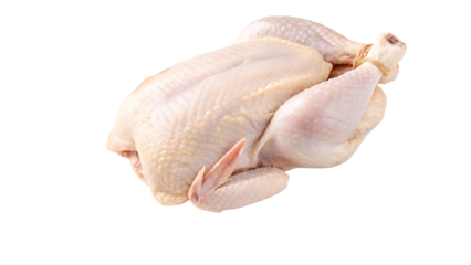 top view of raw fresh chicken isolated on white background PNG.AI GENERATED