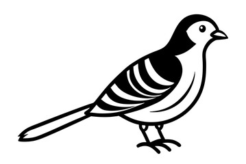 dove of peace