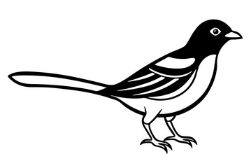 bird on a branch