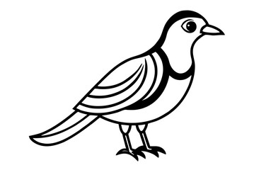 dove of peace