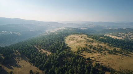 Naklejka premium Aerial view of forested hills nature landscape mountainous region serene environment wide angle earth perspective