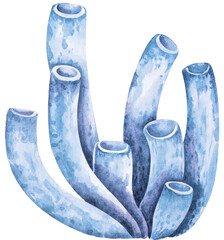 Coral painted with watercolor.Sea underwater life.