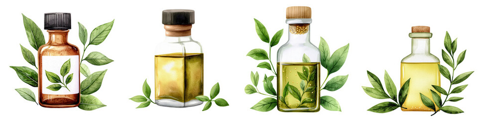 Watercolor  of Sesame Oil Bottles