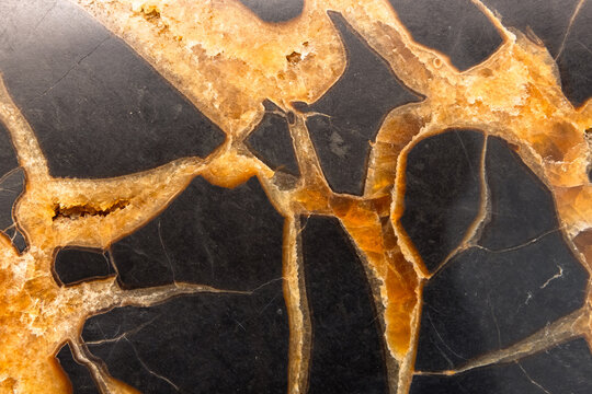 Septarium or septaria, polished cut. Mineral background photo texture