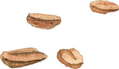 Watercolor painted coffee beans. Hand drawn design element isolated on white background.