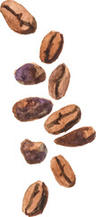 Watercolor painted coffee beans. Hand drawn design element isolated on white background.