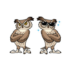 Owl cartoon character illustration