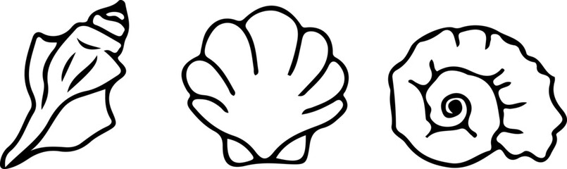 Obraz premium Set of seashells. Modern style scheme. Hand-drawn vector illustration. Isolated design element