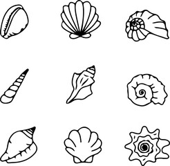 A set of seashells. A modern style scheme. The concept of summer, vacation, the ocean, and the beach. A trendy hand-drawn vector illustration. An isolated design element