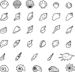 Obraz premium The seashell icon. A set of linear pearl shell icons. Vector icons of seashells. Black linear seashell icons