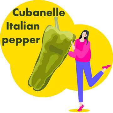 A woman holds Cubanelle Italian Chile Pepper. Isolated vector illustration.